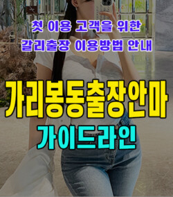 가리봉동출장안마