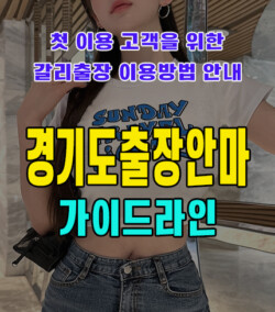 경기도출장안마
