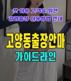 고양동출장안마