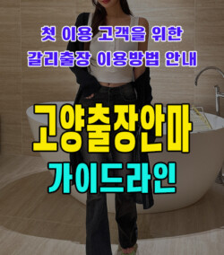 고양출장안마