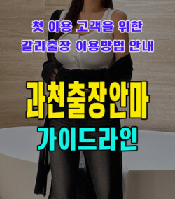 과천출장안마