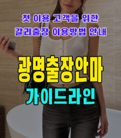광명출장안마