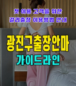 광진구출장안마