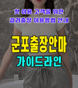 군포출장안마