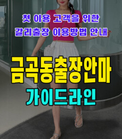 금곡동출장안마
