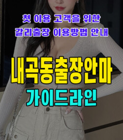 내곡동출장안마