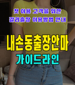 내손동출장안마
