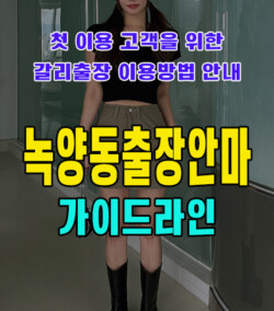녹양동출장안마