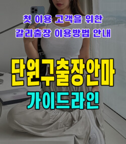 단원구출장안마