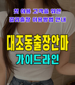 대조동출장안마