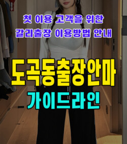 도곡동출장안마