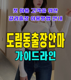 도림동출장안마