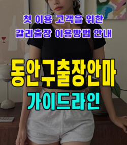 동안구출장안마