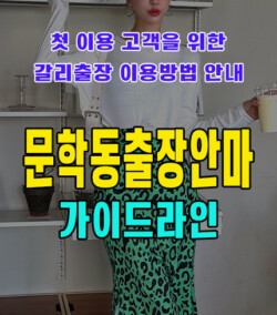 문학동출장안마