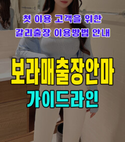 보라매출장안마