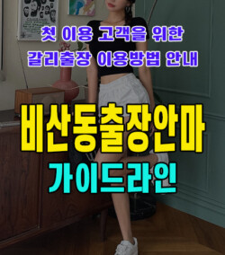 비산동출장안마