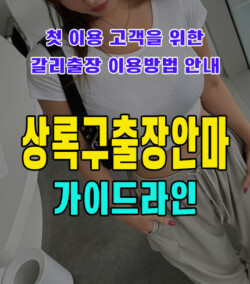 상록구출장안마