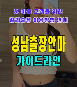 성남출장안마