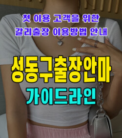 성동구출장안마