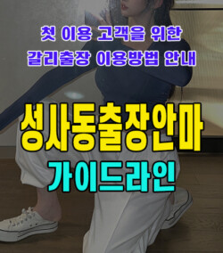 성사동출장안마