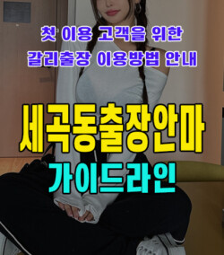 세곡동출장안마
