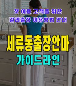 세류동출장안마