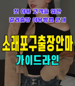 소래포구출장안마