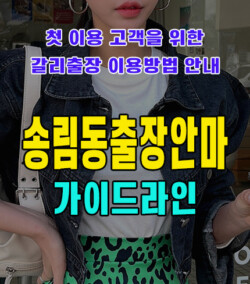 송림동출장안마