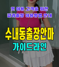 수내동출장안마