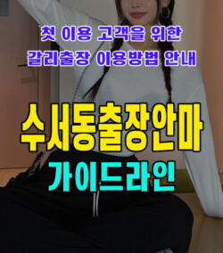 수서동출장안마