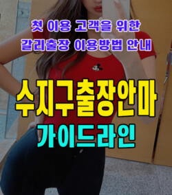 수지구출장안마
