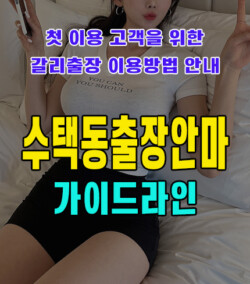 수택동출장안마