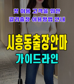 시흥동출장안마
