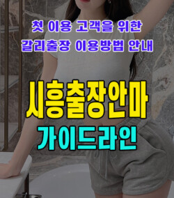 시흥출장안마