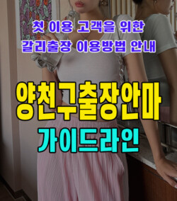 양천구출장안마