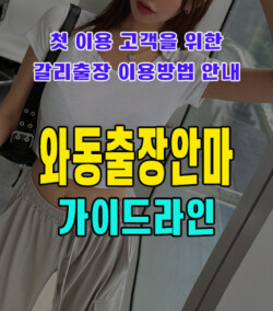 와동출장안마