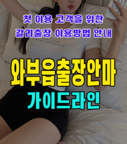 와부읍출장안마