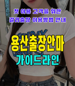 용산출장안마