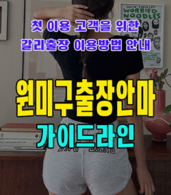 원미구출장안마