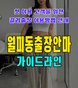 월피동출장안마