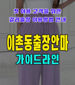 이촌동출장안마