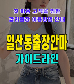 일산동출장안마