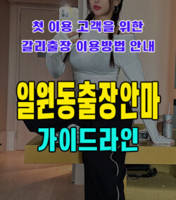 일원동출장안마
