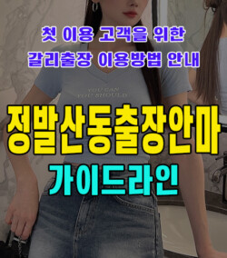 정발산동출장안마
