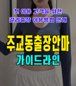 주교동출장안마