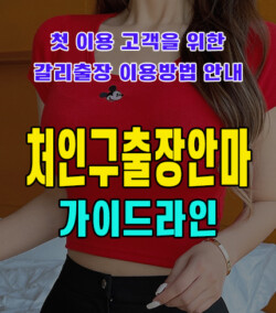 처인구출장안마
