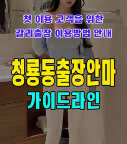 청룡동출장안마