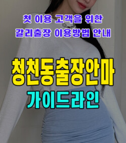 청천동출장안마