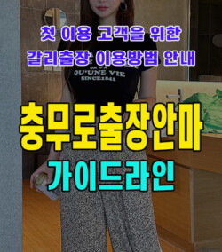 충무로출장안마
