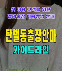 탄벌동출장안마